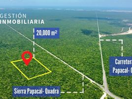  Grundstück zu verkaufen in Progreso, Yucatan, Progreso