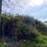  Land for sale in Sahuayo, Michoacan, Sahuayo