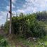  Land for sale in Sahuayo, Michoacan, Sahuayo