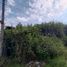  Land for sale in Sahuayo, Michoacan, Sahuayo