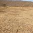  Land for sale in Salta, Capital, Salta