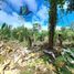 Studio Villa for sale in Aserrio De Gariche, Chiriqui, Aserrio De Gariche, Bugaba