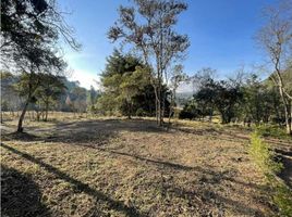  Land for sale in Guatica, Risaralda, Guatica