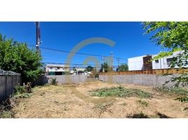  Land for rent in Paine, Maipo, Paine