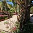 5 Bedroom House for sale in Petatlan, Guerrero, Petatlan