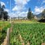  Terreno (Parcela) en venta en San Joaquin, Cuenca, San Joaquin