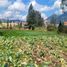  Grundstück zu verkaufen in Cuenca, Azuay, San Joaquin