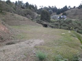  Terreno (Parcela) en venta en Guarne, Antioquia, Guarne