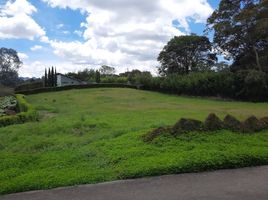  Terreno (Parcela) en venta en La Ceja, Antioquia, La Ceja