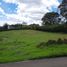 Land for sale in La Ceja, Antioquia, La Ceja
