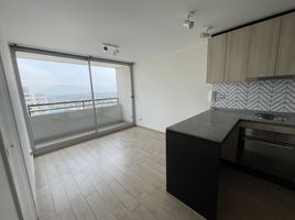 1 Habitación Apartamento en venta en Santiago, Santiago, Santiago, Santiago