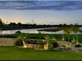  Terreno (Parcela) en venta en Progreso, Yucatán, Progreso