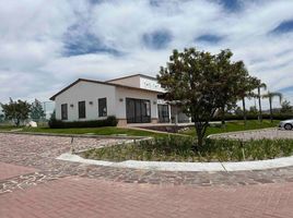  Land for sale in Lagos De Moreno, Jalisco, Lagos De Moreno