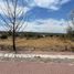  Land for sale in Lagos De Moreno, Jalisco, Lagos De Moreno