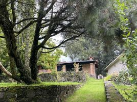 1 Schlafzimmer Haus zu verkaufen in Tianguistenco, Mexico, Tianguistenco