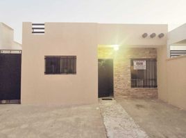 2 Schlafzimmer Haus zu verkaufen in Merida, Yucatan, Merida, Yucatan
