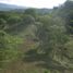  Land for sale in Compostela, Nayarit, Compostela