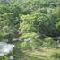  Land for sale in Compostela, Nayarit, Compostela