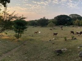  Land for sale in Villa De Alvarez, Colima, Villa De Alvarez, Colima