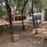 4 Schlafzimmer Wohnung zu verkaufen in Valle De Bravo, Mexico, Valle De Bravo