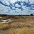  Land for sale in Apaseo El Grande, Guanajuato, Apaseo El Grande