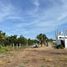  Land for sale in Othon P Blanco, Quintana Roo, Othon P Blanco, Quintana Roo