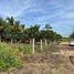  Land for sale in Othon P Blanco, Quintana Roo, Othon P Blanco, Quintana Roo