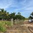  Land for sale in Othon P Blanco, Quintana Roo, Othon P Blanco, Quintana Roo