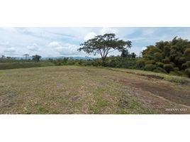  Land for sale in Dosquebradas, Risaralda, Dosquebradas