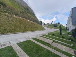 3 Habitación Casa en venta en Manizales, Caldas, Manizales