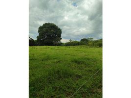  Terreno (Parcela) en venta en Dosquebradas, Risaralda, Dosquebradas