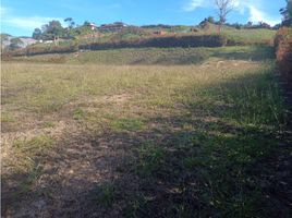  Terreno (Parcela) en venta en El Carmen De Viboral, Antioquia, El Carmen De Viboral