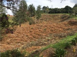  Grundstück zu verkaufen in Medellin, Antioquia, Medellin