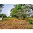  Land for sale in Montijo, Veraguas, Llano De Catival, Montijo