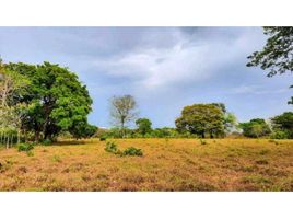  Grundstück zu verkaufen in Montijo, Veraguas, Llano De Catival