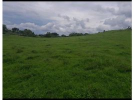  Land for sale in Las Guabas, Los Santos, Las Guabas