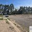  Land for sale in Maipu, Mendoza, Maipu