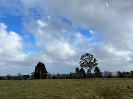  Terreno (Parcela) en venta en Calbuco, Llanquihue, Calbuco