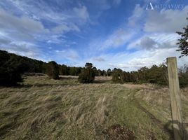  Terreno (Parcela) en venta en Calbuco, Llanquihue, Calbuco