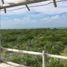  Terreno (Parcela) en venta en Rio Lagartos, Yucatán, Rio Lagartos