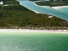  Terreno (Parcela) en venta en Rio Lagartos, Yucatán, Rio Lagartos