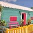  Terreno (Parcela) en venta en Rio Lagartos, Yucatán, Rio Lagartos