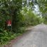  Land for sale in Tinum, Yucatan, Tinum