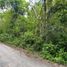  Land for sale in Tinum, Yucatan, Tinum