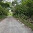  Land for sale in Tinum, Yucatan, Tinum