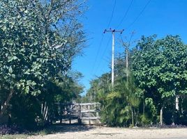  Grundstück zu verkaufen in Merida, Yucatan, Merida, Yucatan