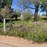  Land for sale in Mineral Del Chico, Hidalgo, Mineral Del Chico