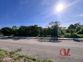  Grundstück zu verkaufen in Conkal, Yucatan, Conkal