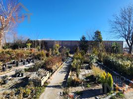  Terreno (Parcela) en venta en Confluencia, Neuquen, Confluencia