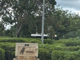  Grundstück zu verkaufen in Conkal, Yucatan, Conkal